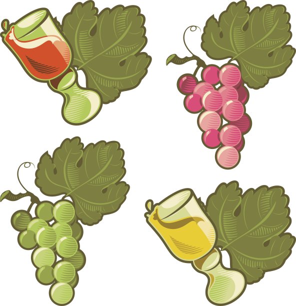 葡萄酒和葡萄图片下载