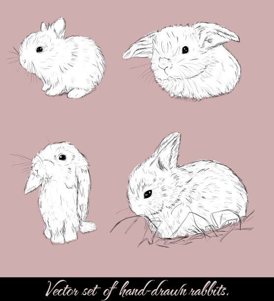 古董与可爱的兔子图片下载