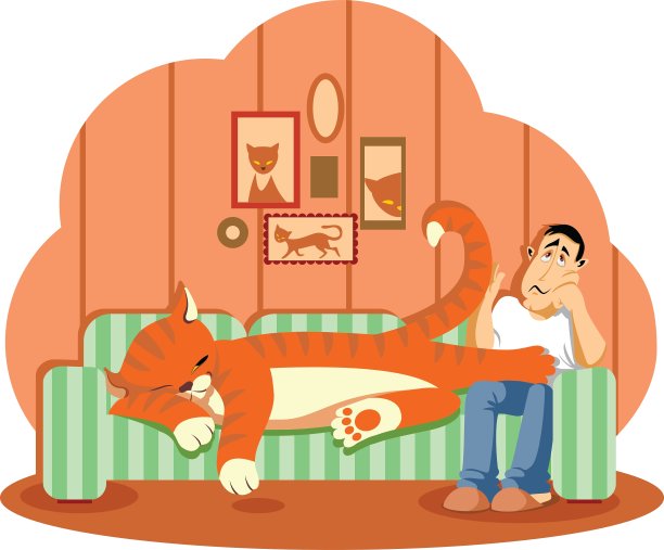 睡觉的猫图片下载