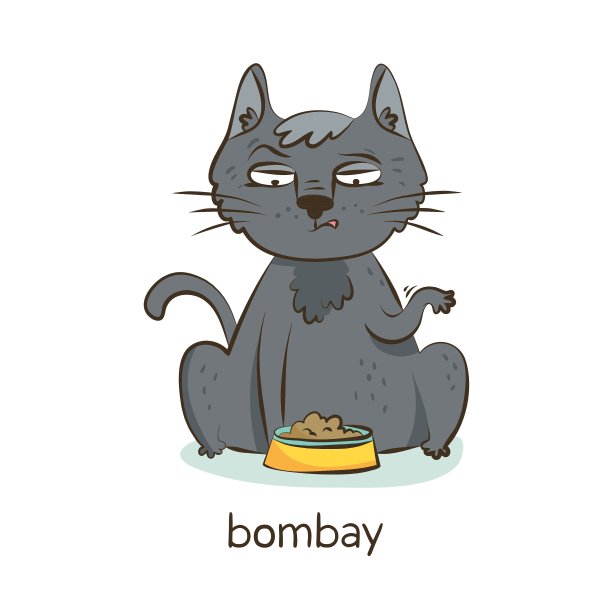 孟买猫猫性状孤立在白色图片下载