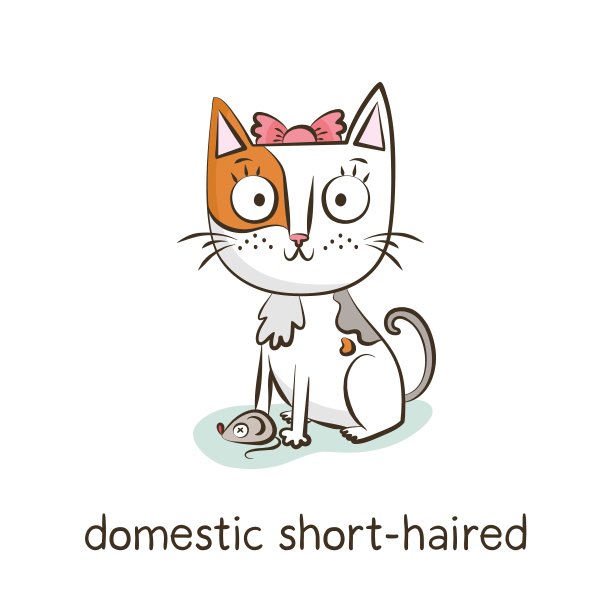 家养短毛猫性格孤立图片下载