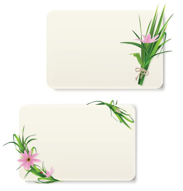 卡片上有草和花图片下载