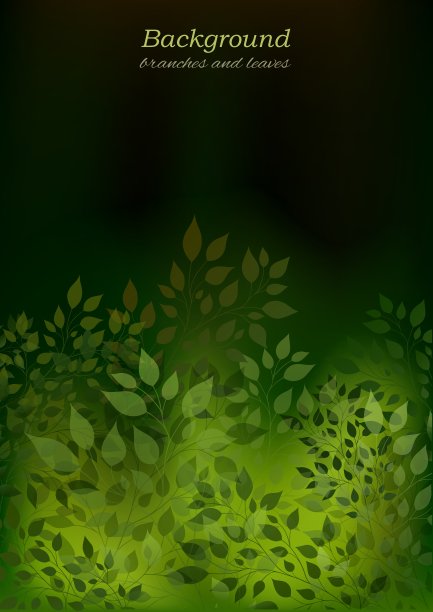 树枝和树叶图片下载