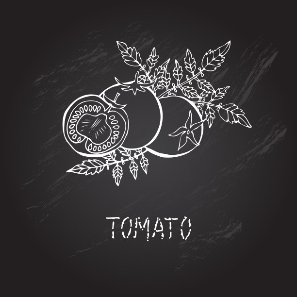 手绘西红柿图片下载