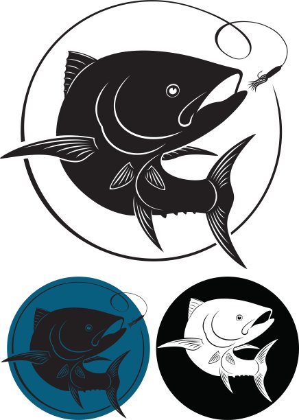 金枪鱼图片下载