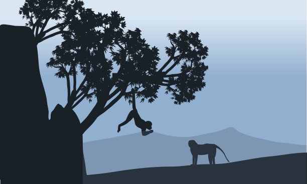 田野里猴子的剪影图片下载