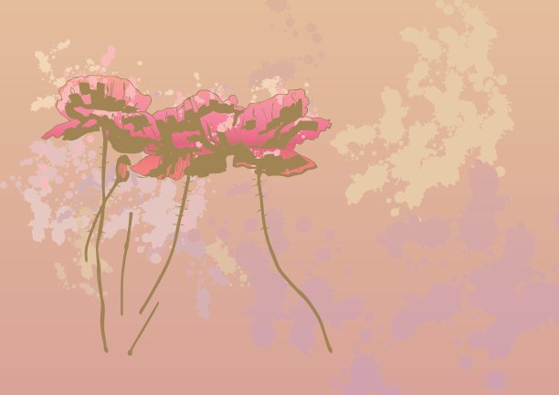 罂粟花图片下载