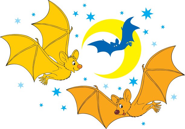 蝙蝠图片下载
