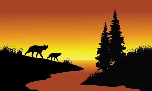 黑豹在河里的影子图片下载