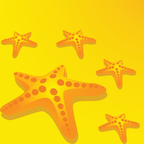 海星的背景图片下载