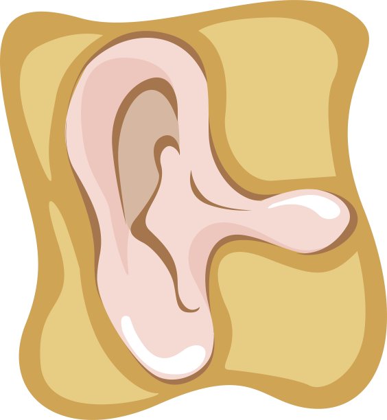 耳朵图片下载
