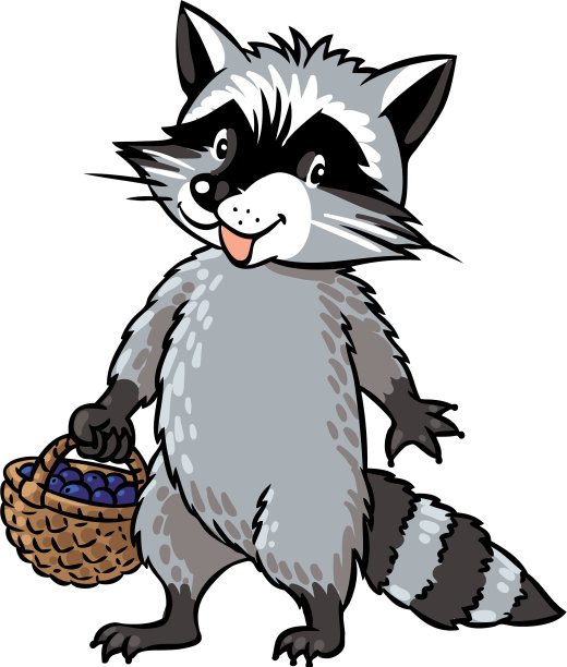 小滑稽的浣熊图片下载