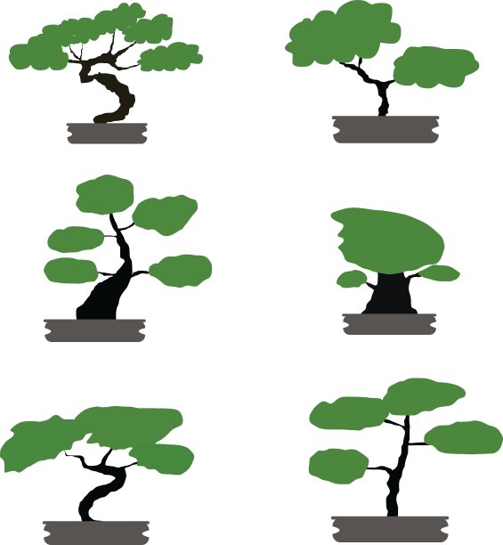 盆景树设置日本风格孤立图片下载