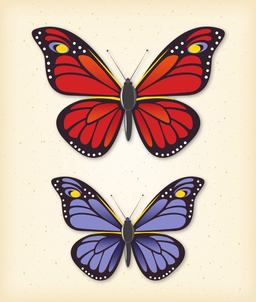 夏天蝴蝶组图片下载