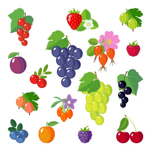 扁莓套图片下载