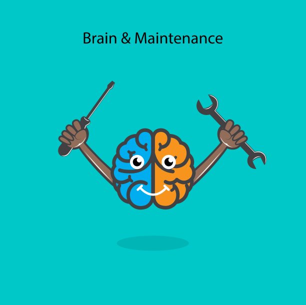 创造性的左脑和右脑的符号与螺丝驱动器图片下载