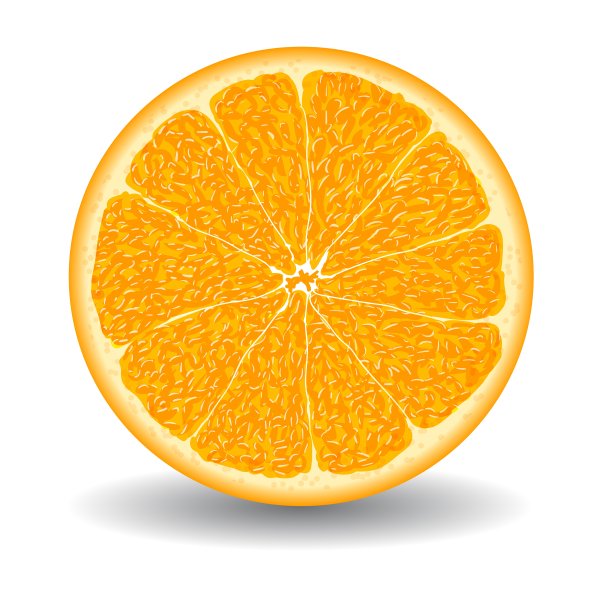 橙子切片白色图片下载