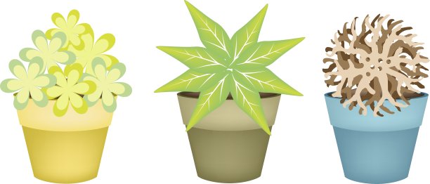 可爱的树木和植物在陶土花盆图片下载