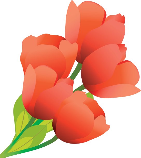 束郁金香图片下载