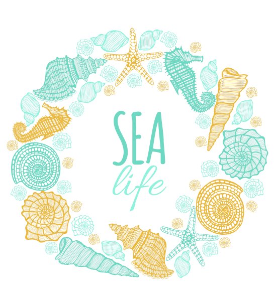 框架与贝壳，海马和海星图片下载