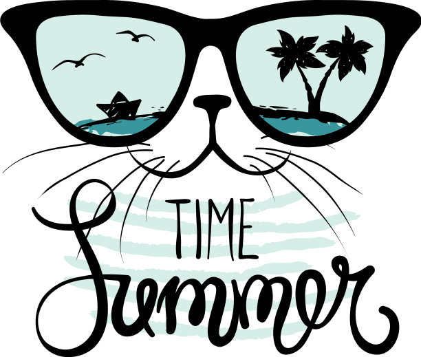 猫戴着墨镜图片下载