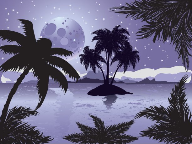 晚上热带岛屿图片下载