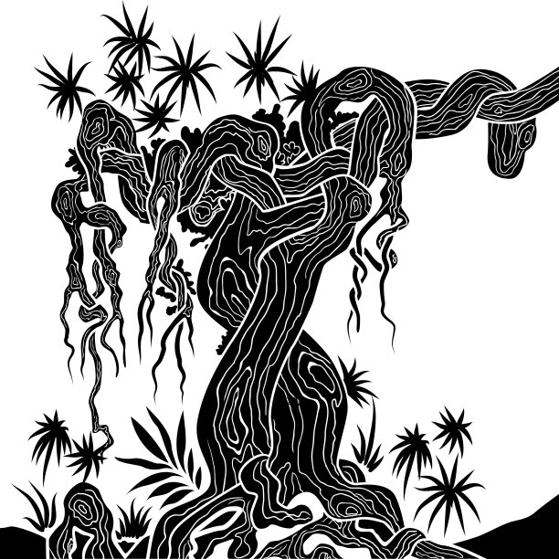 树与藤本植物图片下载