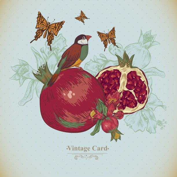 复古贺卡热带水果花图片下载