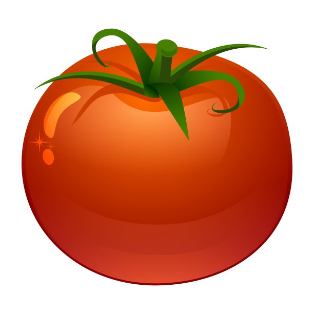 新鲜成熟的番茄图片下载
