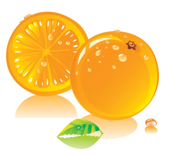 薄荷的叶子图片下载