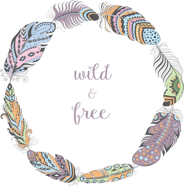 颜色框架与鸟类羽毛孤立在白色图片下载