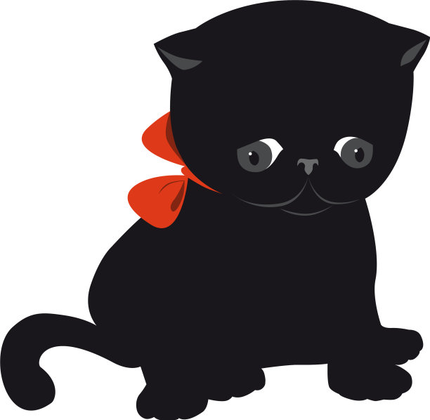 小猫图片下载