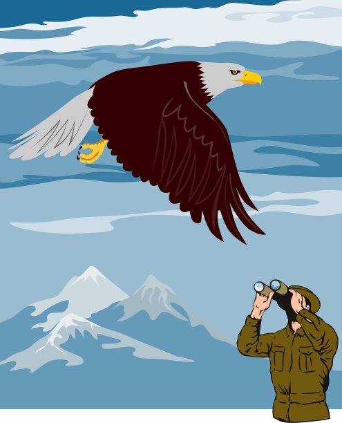 男人看着鹰图片下载