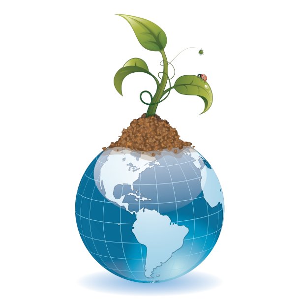 年轻的绿芽图片下载