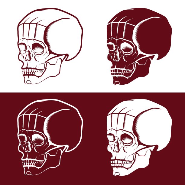 一套头骨设计模板图片下载