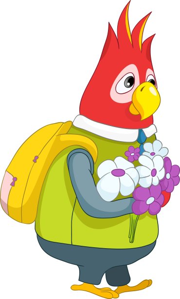 鹦鹉小学生图片下载