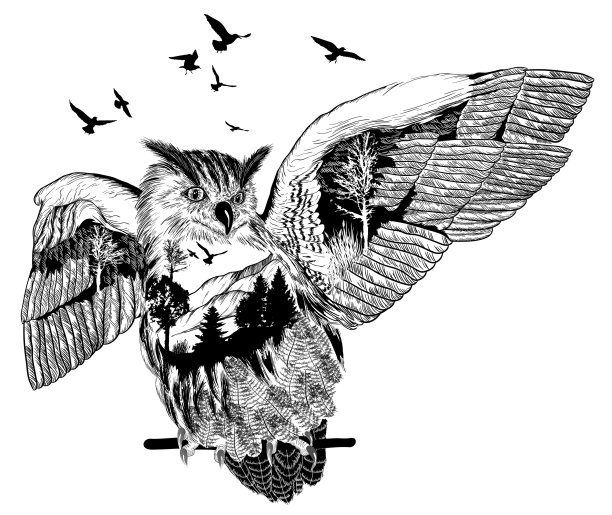 手绘猫头鹰为您的设计野生动物概念图片下载