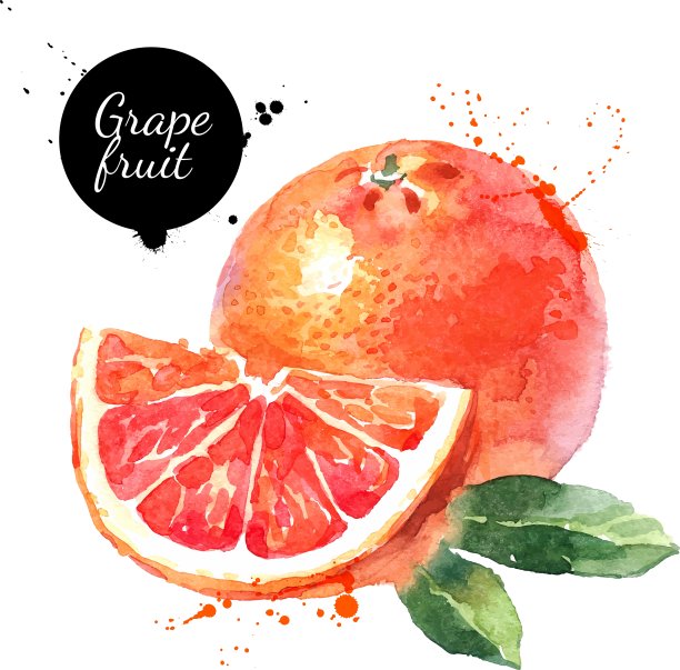 水彩手绘粉红葡萄柚孤立图片下载