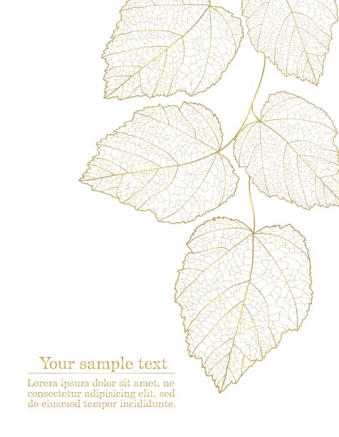 抽象的金色花卉背景图片下载