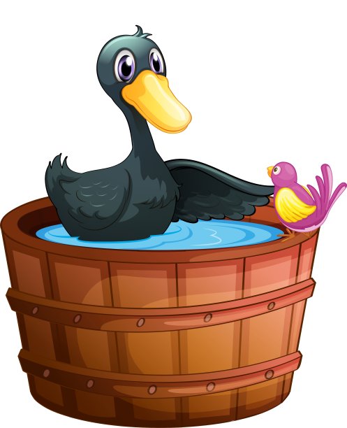 一只鸟在桶上看着鸭子图片下载
