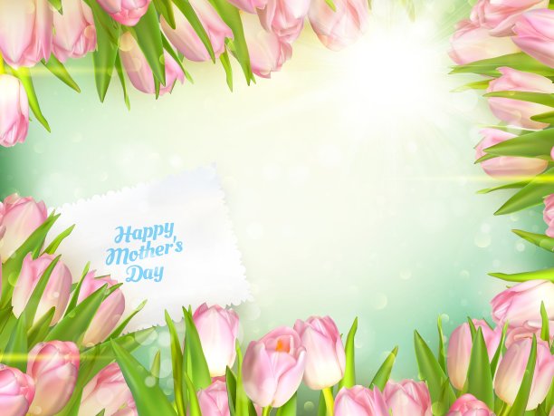 一束郁金香EPS 10图片下载