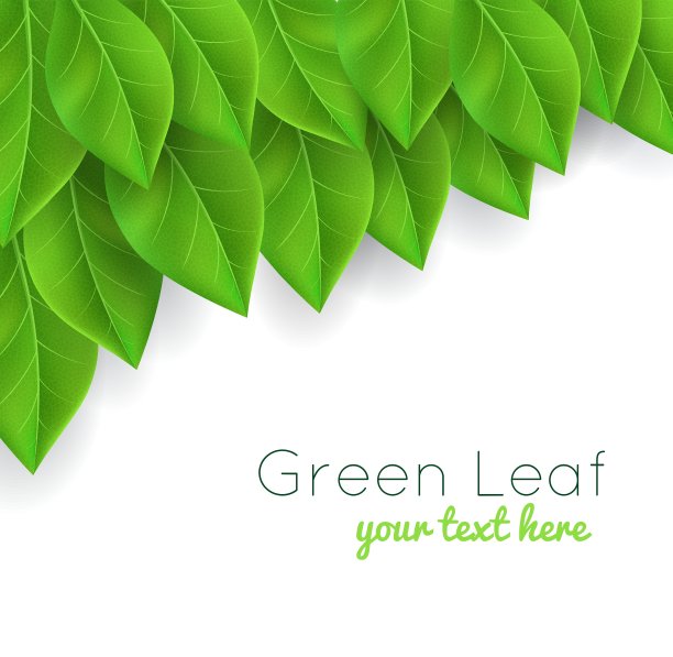 背景与绿叶逼真图片下载