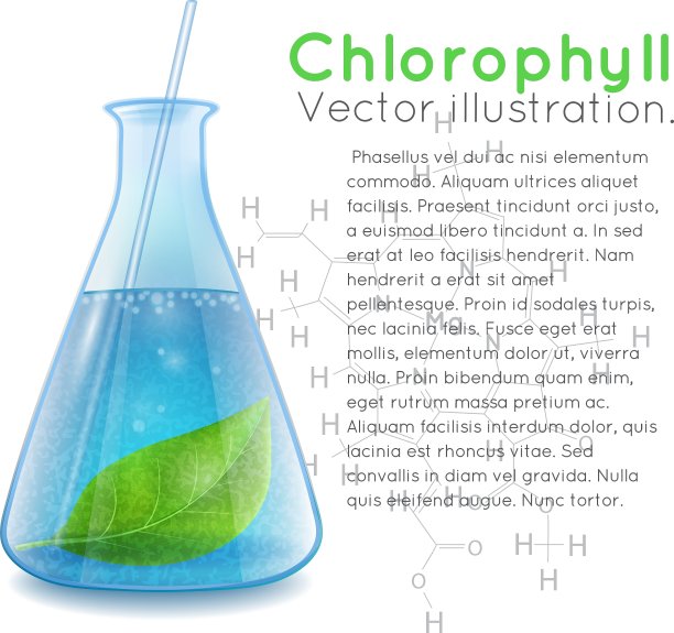 化学瓶图片下载