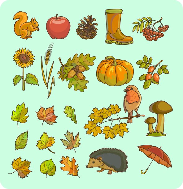 秋季图标和对象设置的设计图片下载