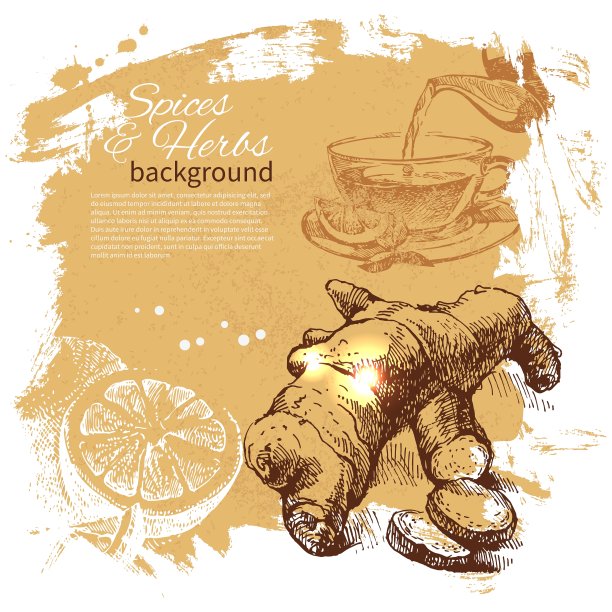 复古背景与手绘素描香草图片下载