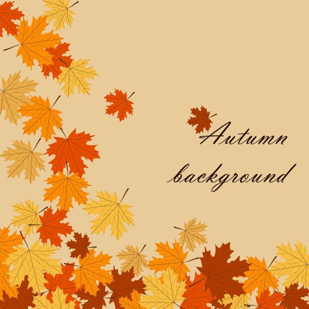 秋天的背景是枫叶图片下载