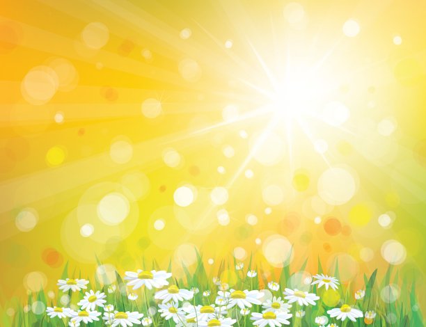 春天阳光明媚的背景图片下载