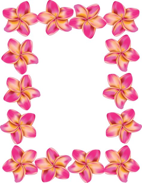 鸡蛋花frame3图片下载