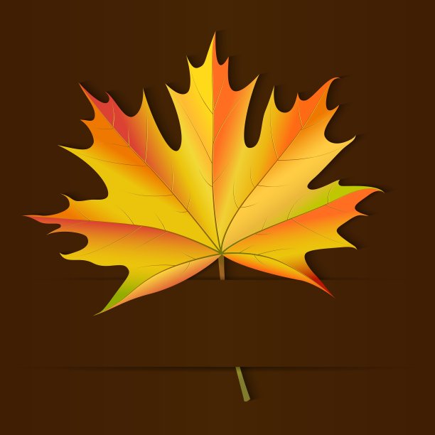 秋天的卡片图片下载