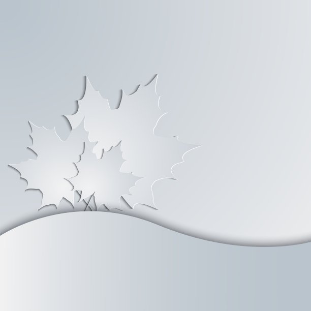 枫叶的剪影出现在灰色的背景上图片下载